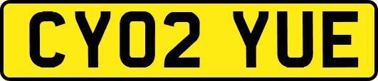 CY02YUE