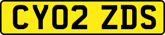 CY02ZDS