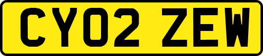 CY02ZEW