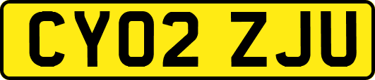 CY02ZJU