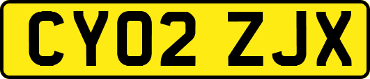 CY02ZJX