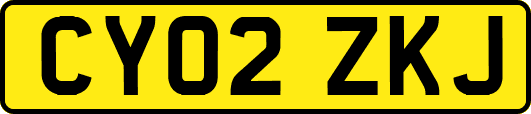 CY02ZKJ