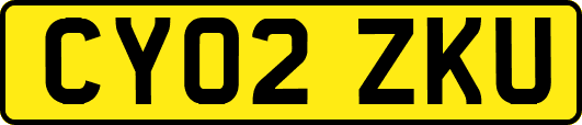 CY02ZKU