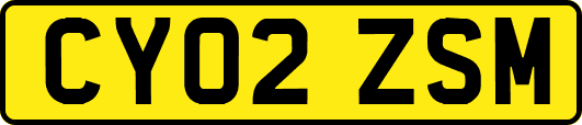 CY02ZSM