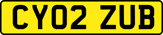 CY02ZUB