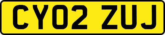 CY02ZUJ