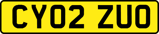 CY02ZUO