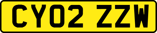 CY02ZZW
