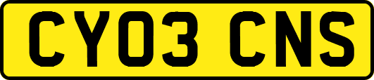 CY03CNS
