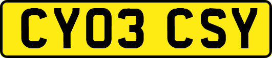 CY03CSY