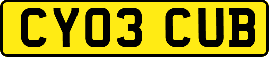 CY03CUB
