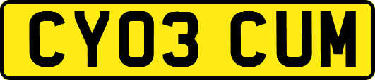 CY03CUM