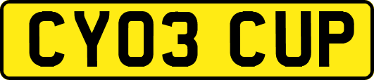 CY03CUP