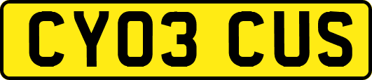 CY03CUS