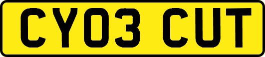 CY03CUT