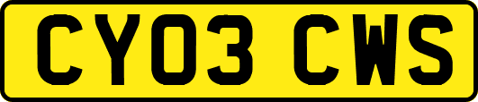 CY03CWS