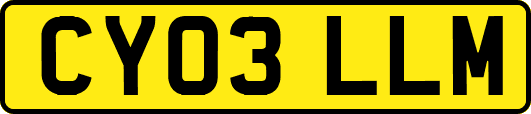 CY03LLM