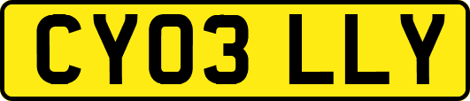 CY03LLY