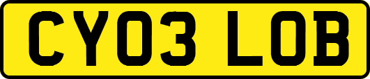 CY03LOB