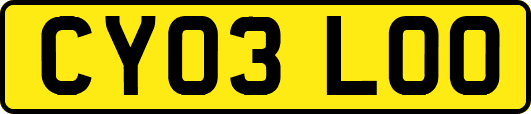CY03LOO