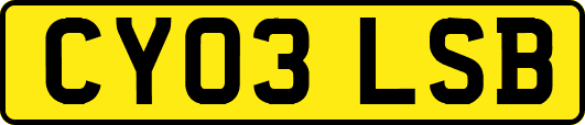 CY03LSB