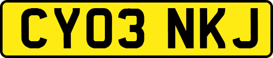 CY03NKJ