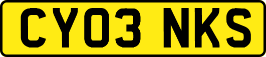 CY03NKS