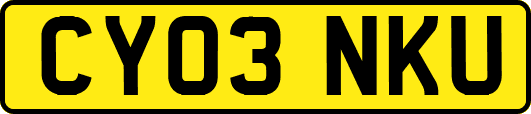 CY03NKU
