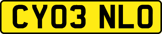 CY03NLO