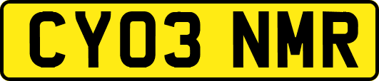 CY03NMR
