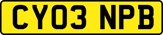 CY03NPB