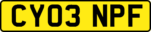 CY03NPF
