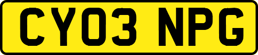 CY03NPG
