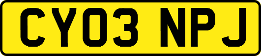 CY03NPJ