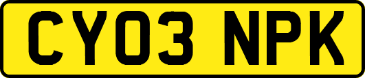 CY03NPK