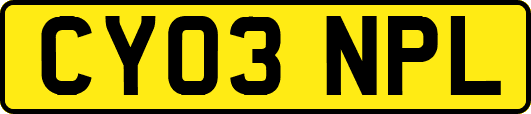 CY03NPL