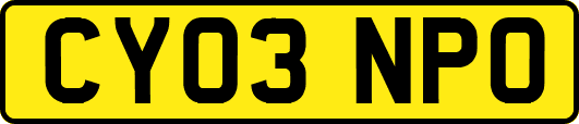 CY03NPO