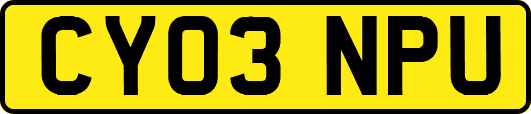 CY03NPU