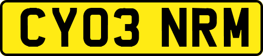 CY03NRM
