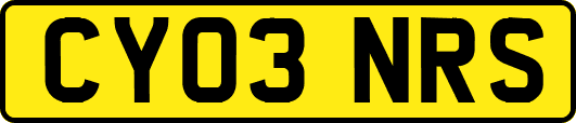 CY03NRS