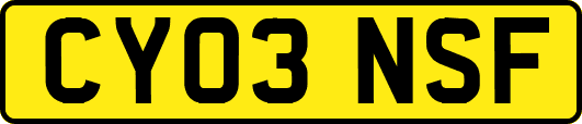 CY03NSF