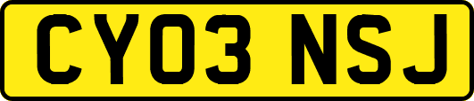 CY03NSJ