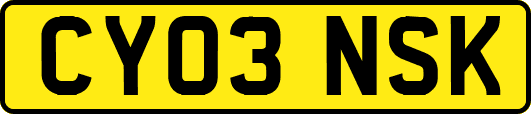 CY03NSK