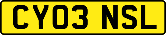 CY03NSL