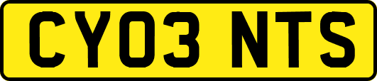 CY03NTS