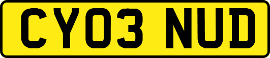CY03NUD