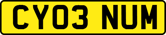 CY03NUM