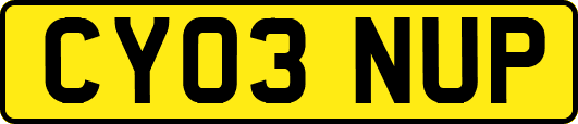 CY03NUP
