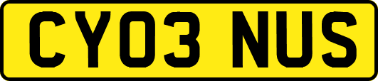 CY03NUS
