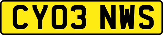 CY03NWS